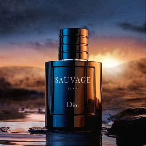 dior sauvage elixir 33ml|sauvage dior elixir 100ml price.